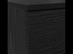 Zapatero de Roble Negro 100,5x28x100 cm en madera MDF