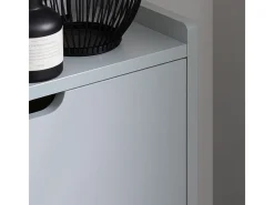 Zapatero Estrecho con 3 Solapas Organizador para Zapatos de Entrada 50 x 19 x 129 cm Gris FSR151-H-HG SoBuy ES